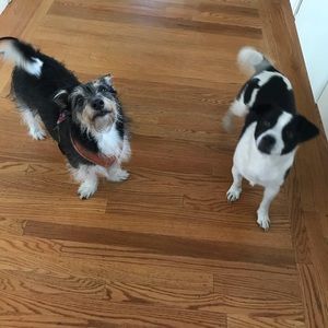 Meet your Posher, Julia